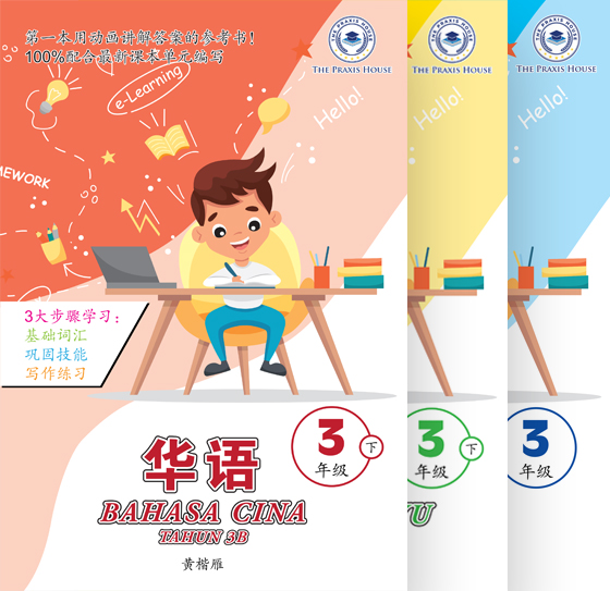 Standard3B-set